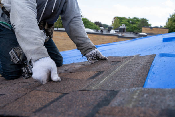 Best Flat Roof Repair Services  in Cottage Grove, MN