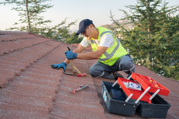 Roof Repair Estimates in Cottage Grove, MN